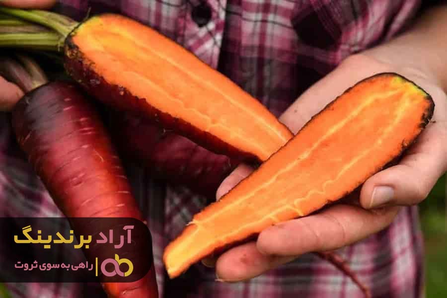 قیمت فروش هویج بنفش