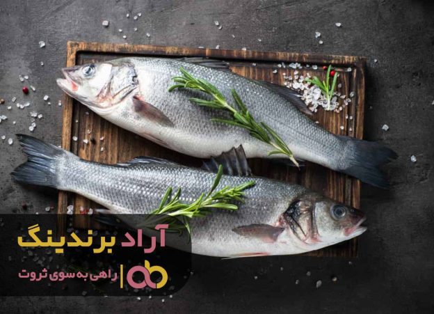 اشتغال زایی آسان با درآمد بالا در حوزه ماهی