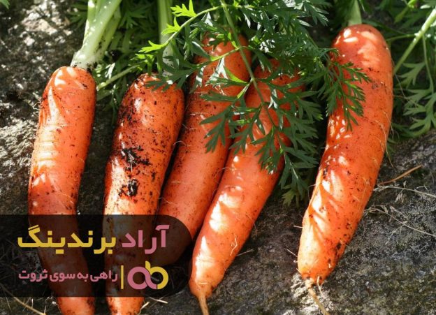 هویج خطر ابتلا به سرطان را کاهش می دهد